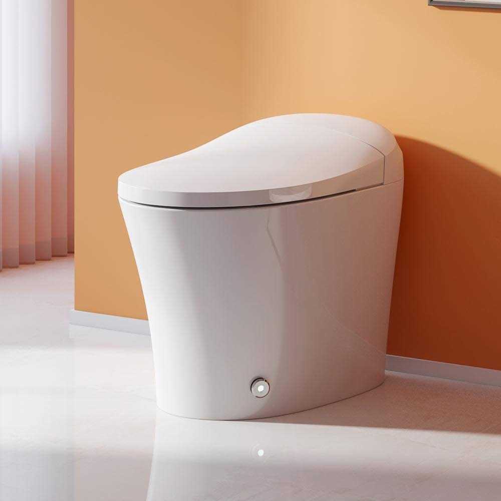 Hanikes 1-Piece 1/1.27 GPF High Efficiency Dual Flush Elongated Toilet - Cheap Fitting