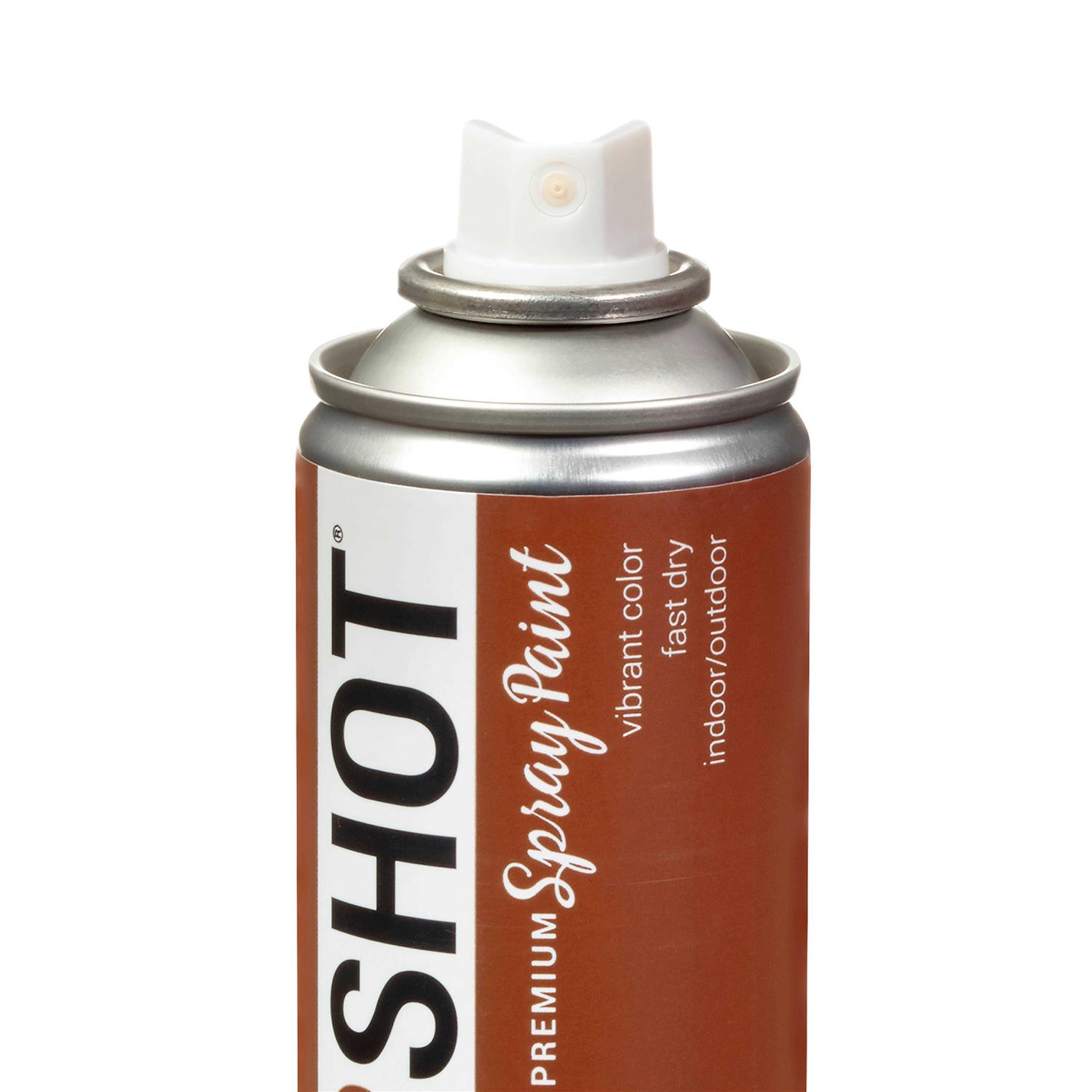 Colorshot Satin Root Beer Float Aerosol Spray Paint - Cheap Fitting