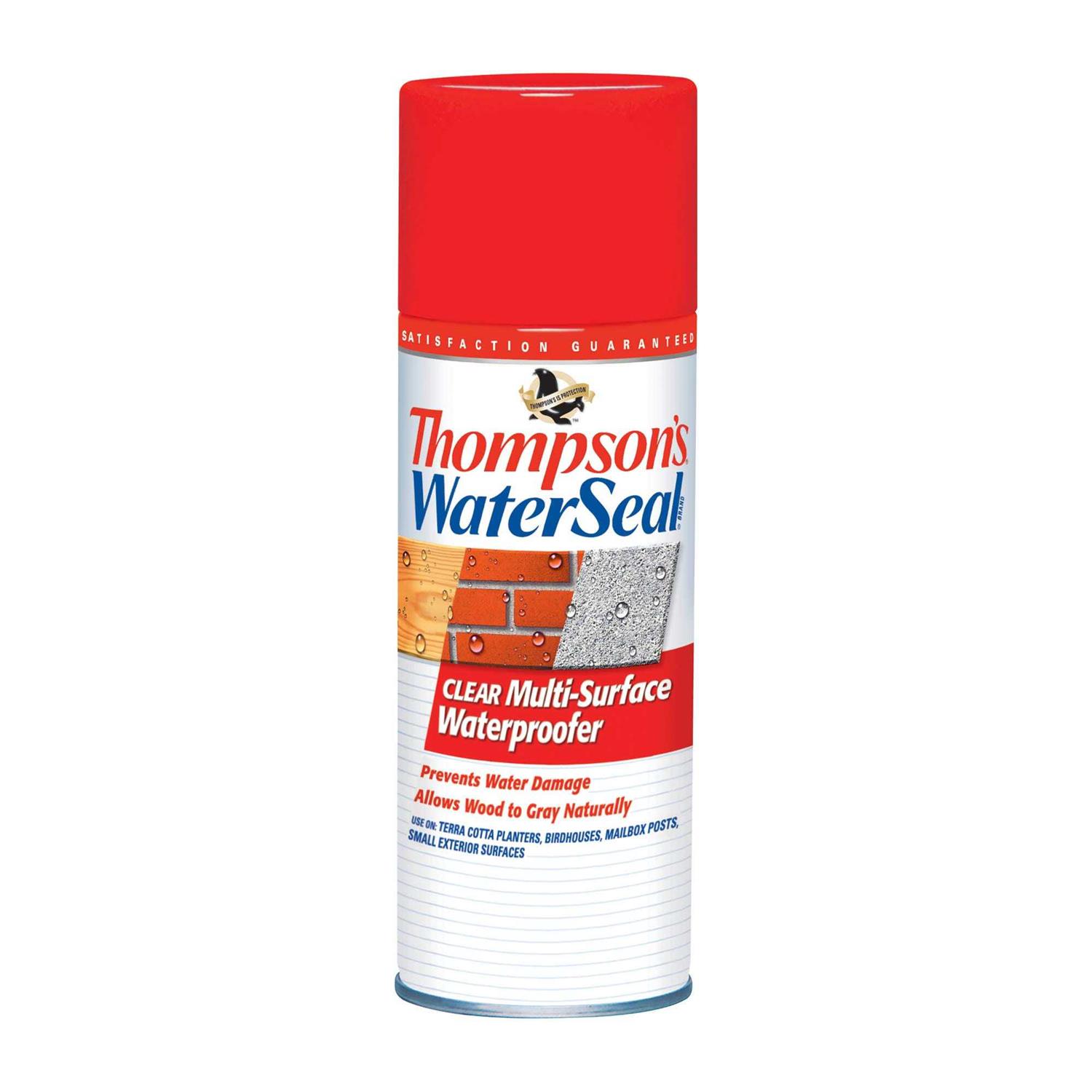 Thompson’s WaterSeal Clear Multi-Surface Waterproofer - Cheap Fitting