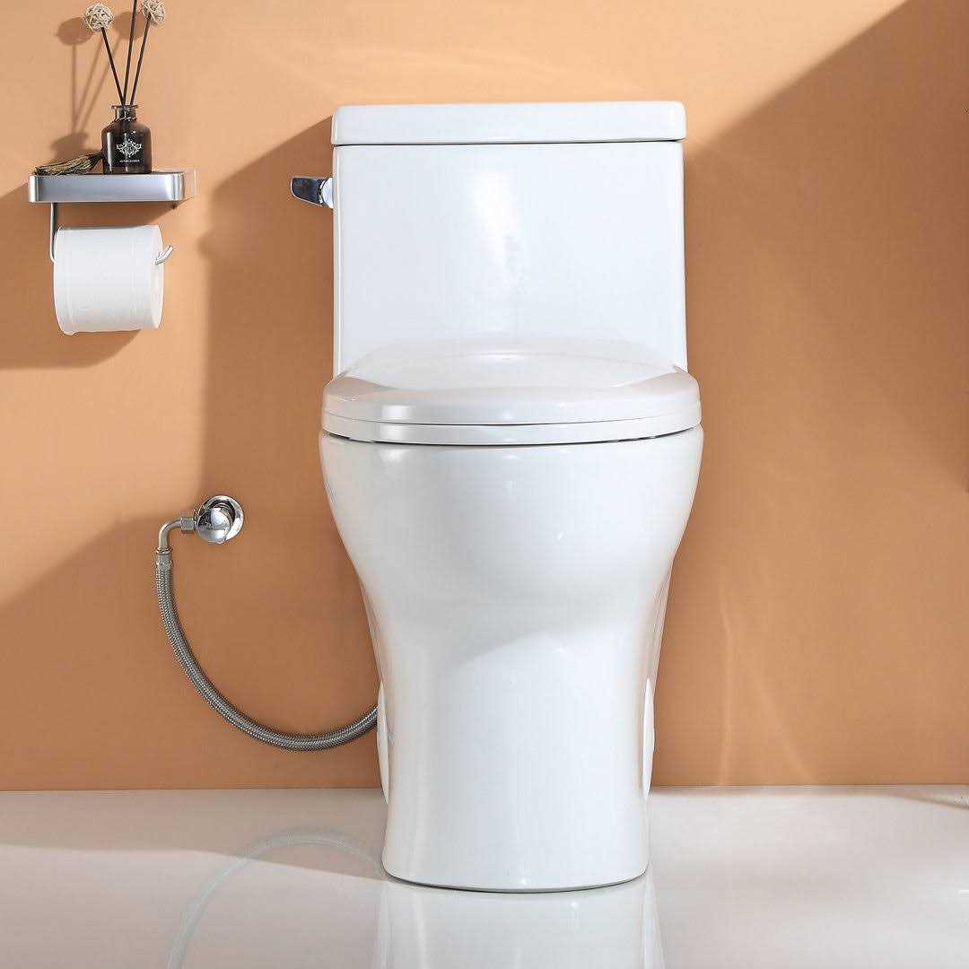HOROW 1-Piece 1.28 GPF Compact Single Flush Elongated Toilet HR-ST076W - Cheap Fitting