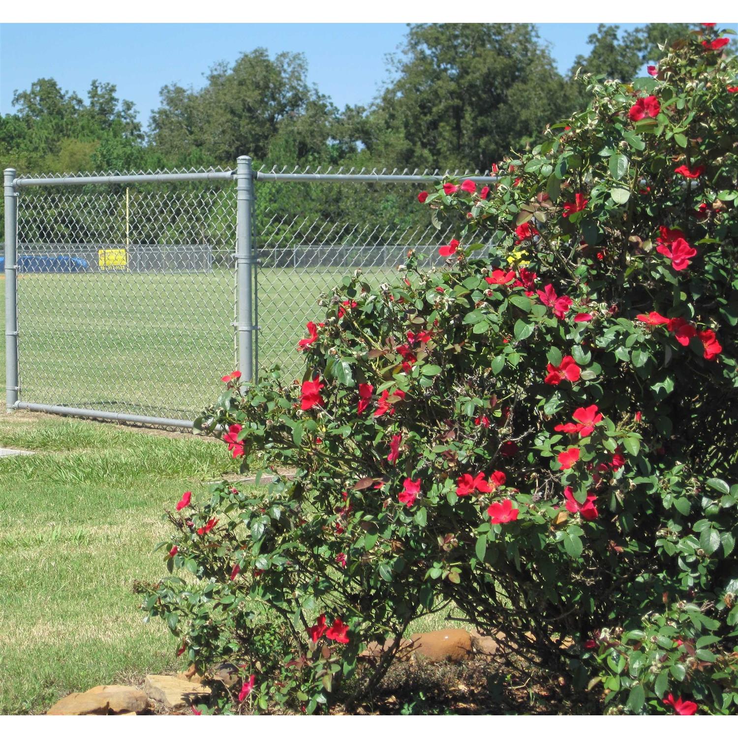 Unbranded 7-ft H x 2-in W 16-Gauge Silver Galvanized Steel Terminal Chain Link Fence Post 58910158 - Cheap Fitting