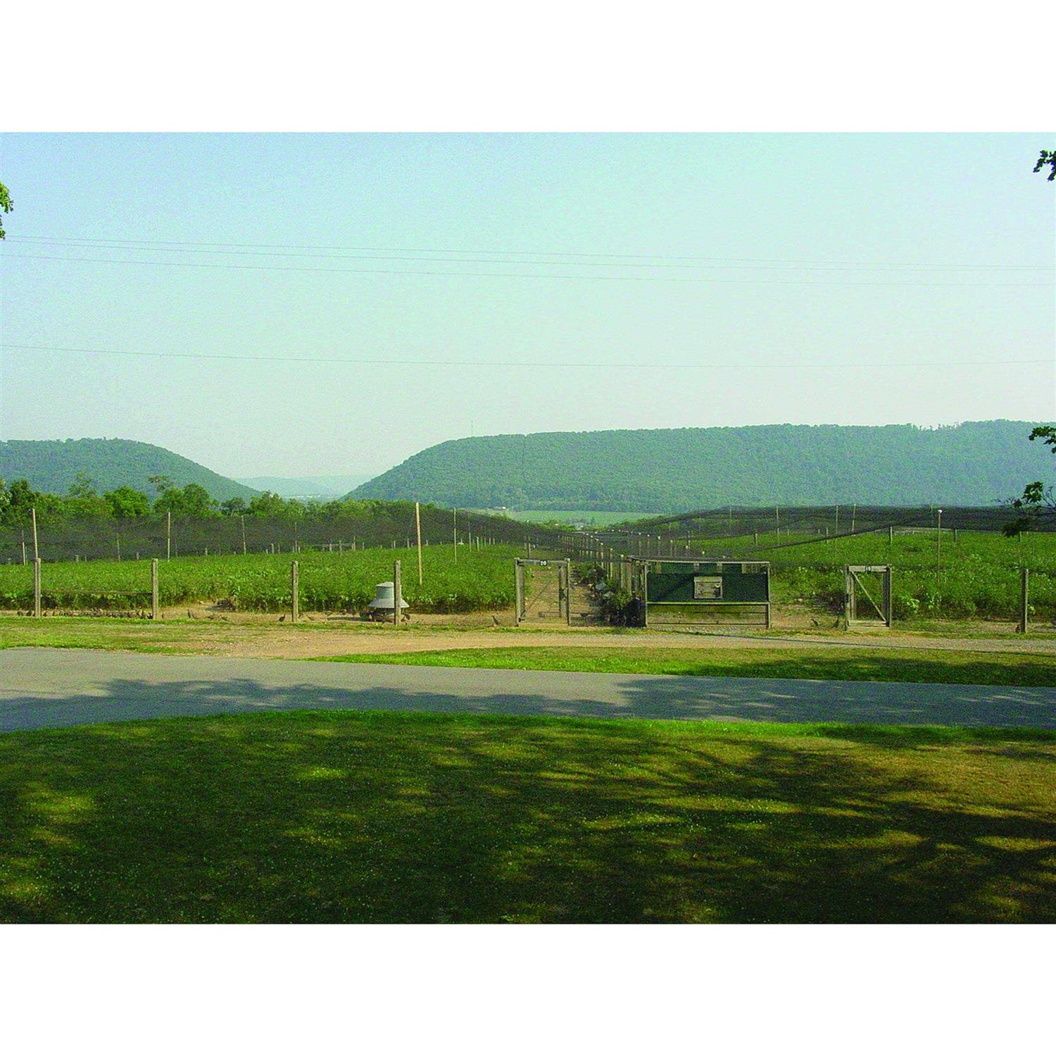 Stromberg’s 2 Heavy Duty Knotted Netting - Cheap Fitting