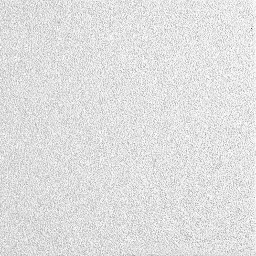 Armstrong World Industries 868B Ceiling Tile - Cheap Fitting