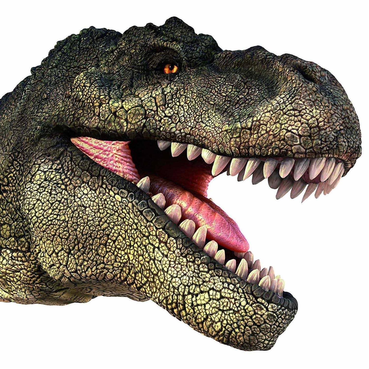 Natural History Museum Dinosaur Torch and Projector - Cheap Fitting