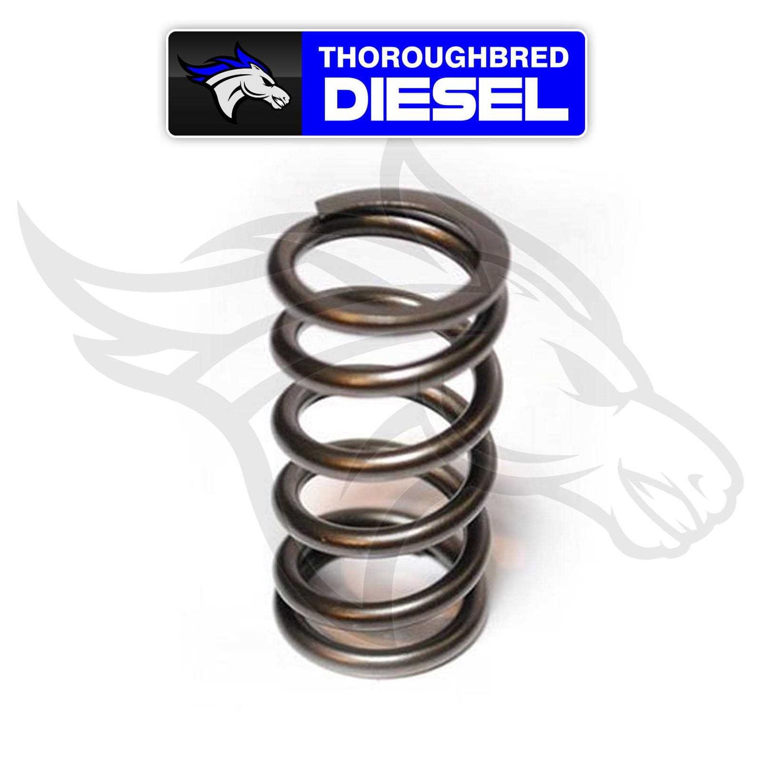 Hamilton Cams 07-S-003 Valve Springs - Cheap Fitting