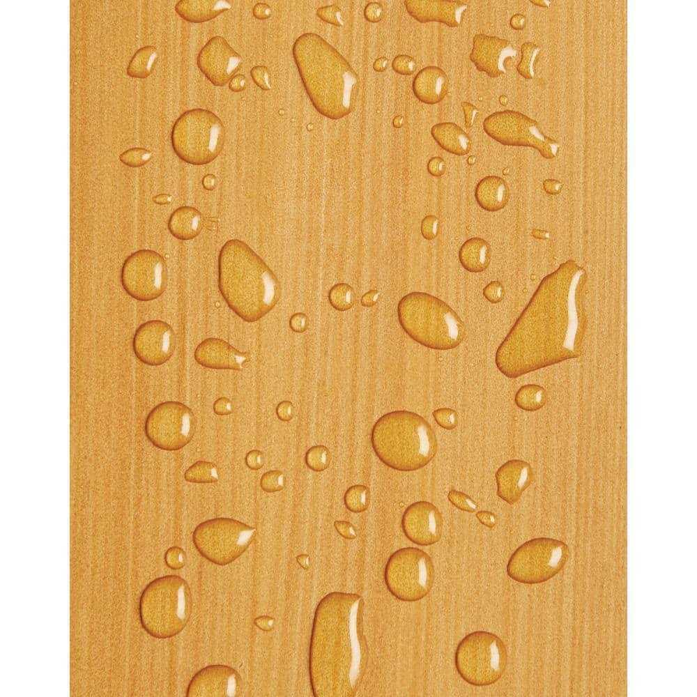 Olympic Waterguard 5 gal. Clear Multi-Surface Waterproofing Sealant - Cheap Fitting