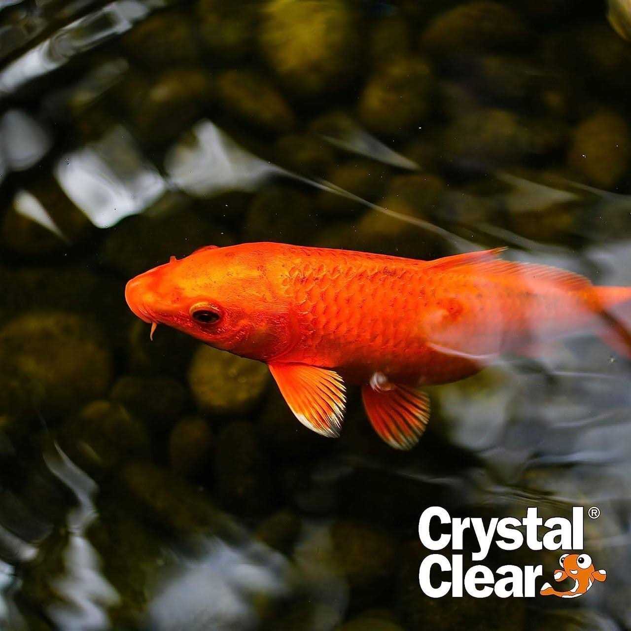 Airmax CrystalClear PondAir 4 Aeration Kit 120916 - Cheap Fitting