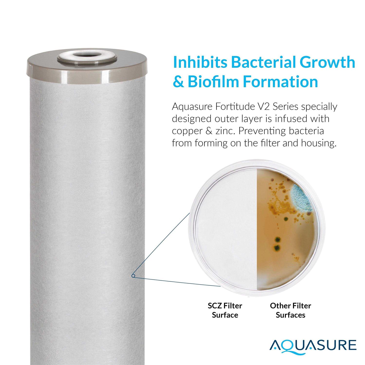 Aquasure Fortitude Series Sediment/Carbon/Zinc Bacteria Inhibiting Triple Purpose Replacement Filter - Cheap Fitting