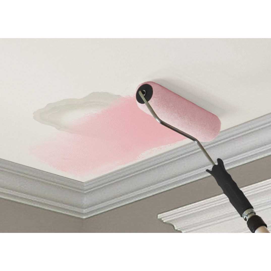Kilz Stainblocking Ceiling Paint - Cheap Fitting