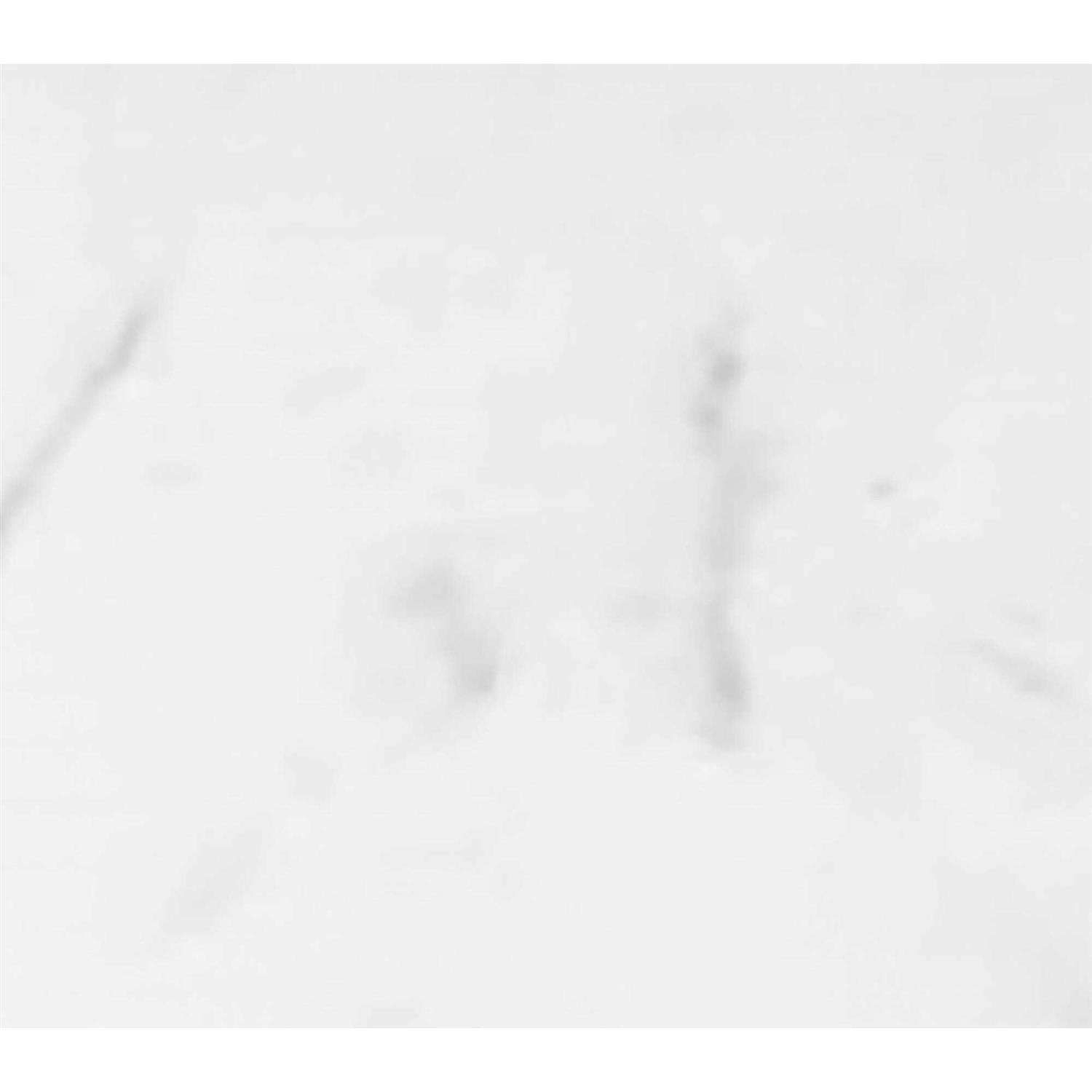 Winette 49 in. W x 22 in. D Engineered Stone Composite Vanity Top in Carrara White - Cheap Fitting