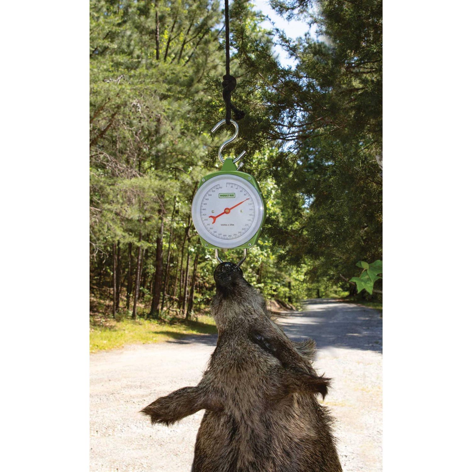 Moultrie 550 lb. Game Scale - Cheap Fitting
