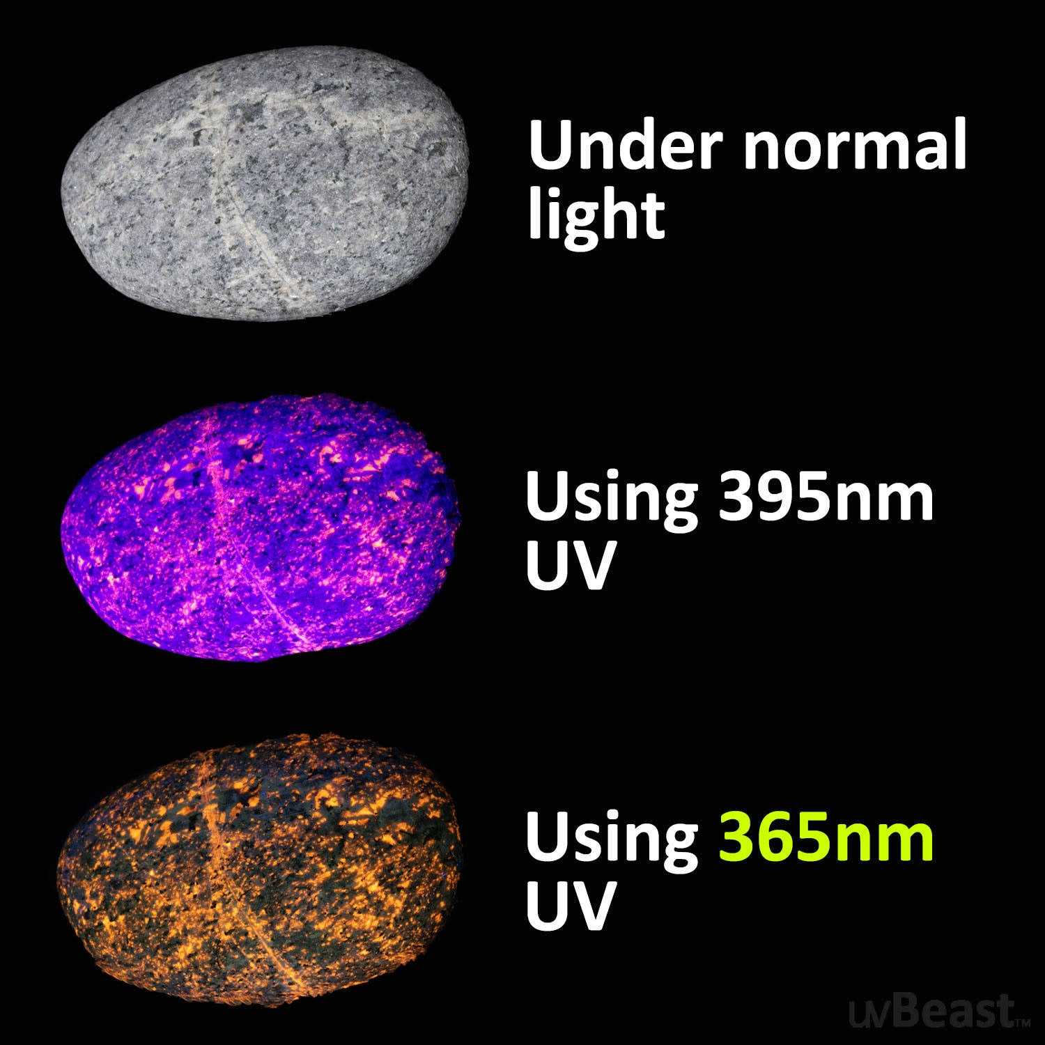 uvBeast New V3 365nm Mini Black Light UV Flashlight HIGH Definition Ultraviolet - Cheap Fitting