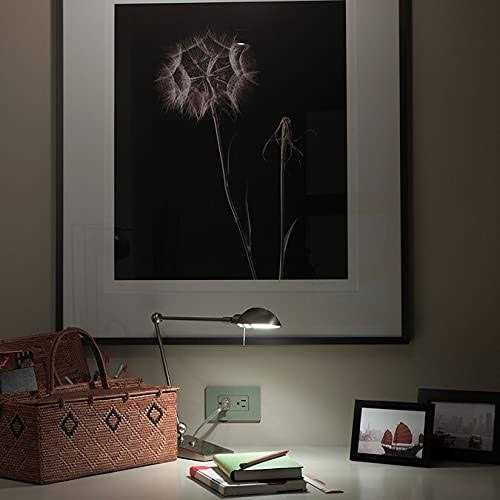 Lutron SCR-15-SW - Cheap Fitting