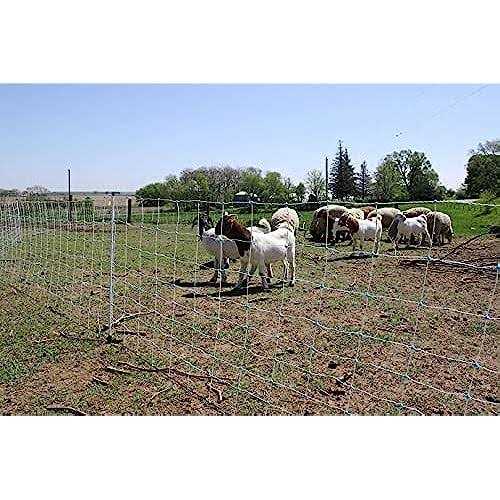 Starkline 42in x 164ft Multi-Purpose Electric Netting for Goats, Sheep and More - Cheap Fitting
