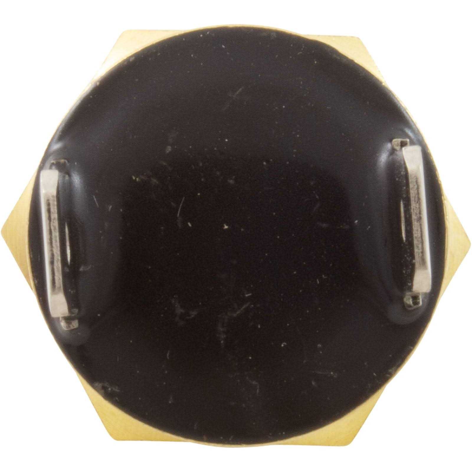 Pentair 42001-0063S High Limit Switch - Cheap Fitting