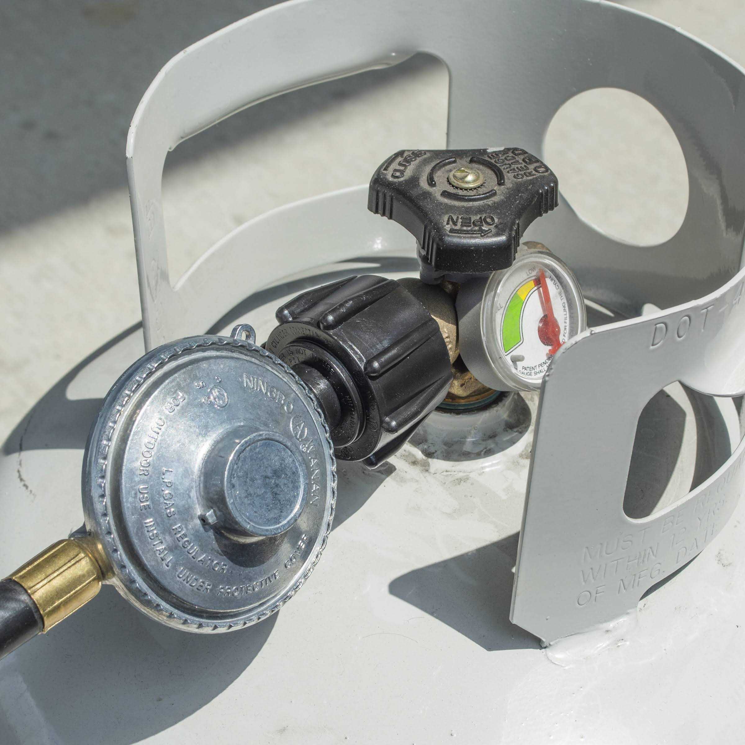 Sportsman Series 5 Foot LP Regulator Hose For LP Generators - Cheap Fitting