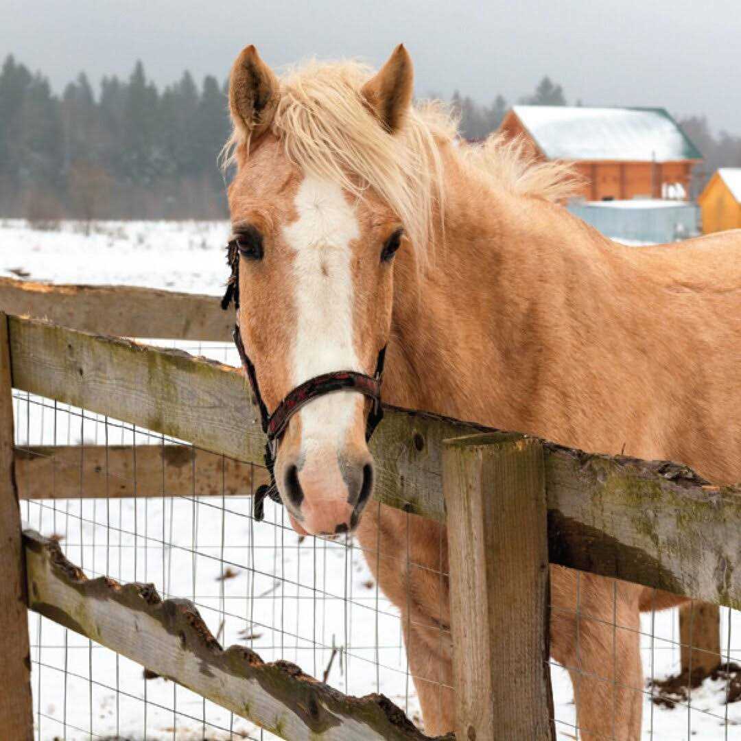 Yardgard Barrier Fence Orange 889210A - Cheap Fitting