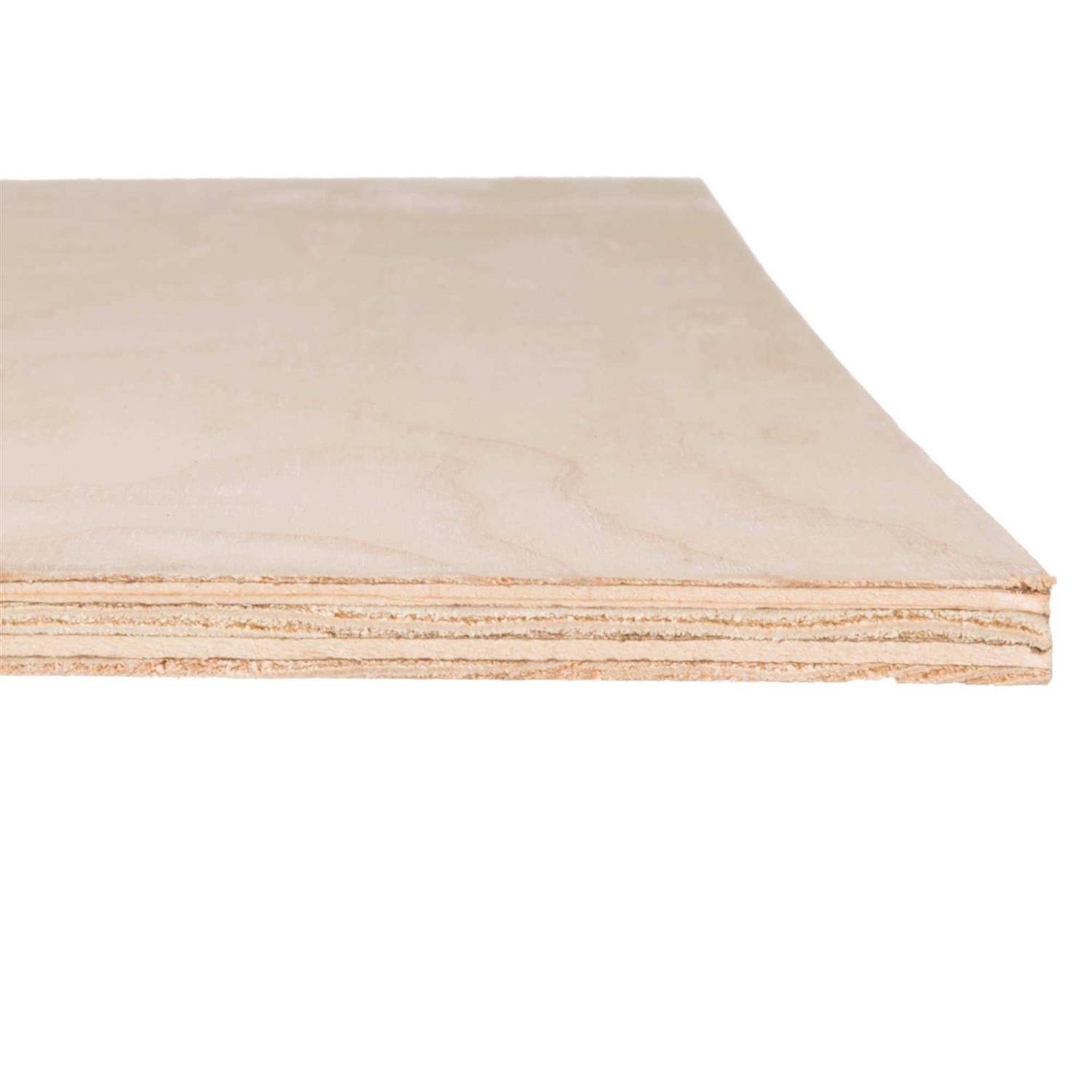 ReliaBilt 15/32-in x 4-ft x 8-ft Douglas Fir Sanded Plywood 15114 - Cheap Fitting