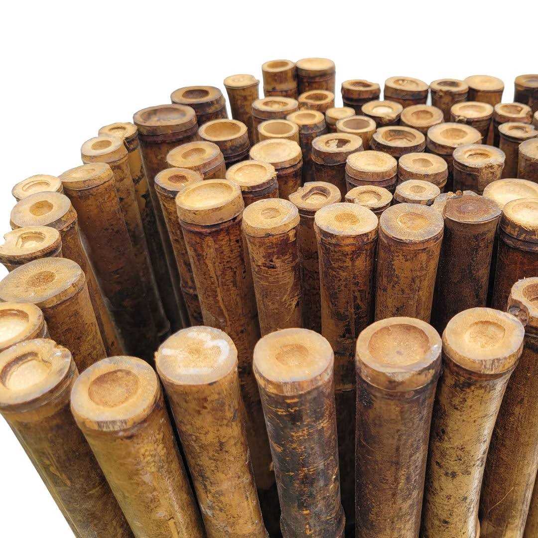 Backyard x-Scapes H x 8 ft. W Caramel Brown Bamboo Fence Fencing Panel - Cheap Fitting