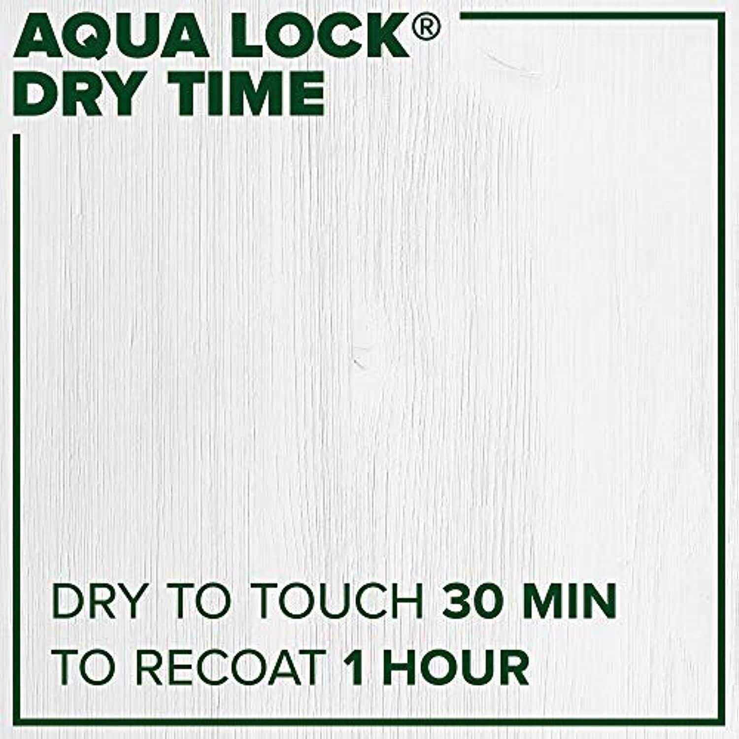 Insl-X Aqua Lock Plus White Primer Sealer - Cheap Fitting