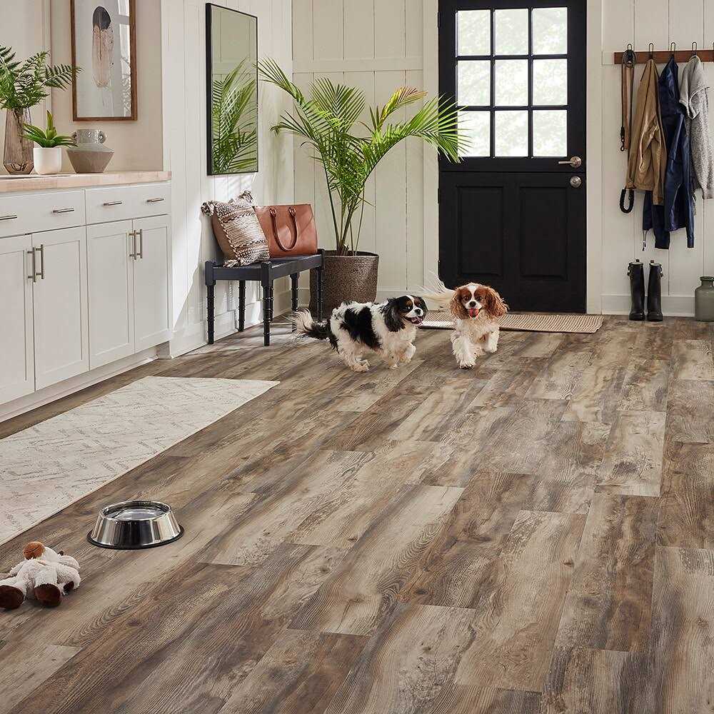 STAINMASTER PetProtect Forest City Pine Waterproof Wood Plank Laminate Flooring - Cheap Fitting