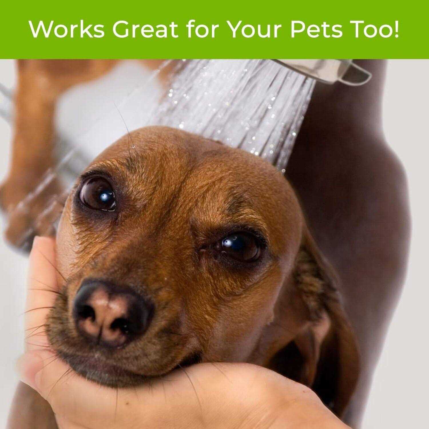 WaterChef Premium Shower Filter - Cheap Fitting