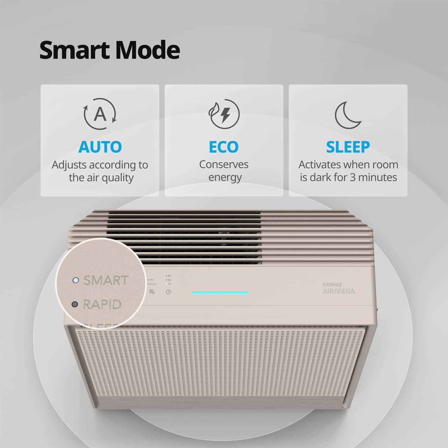 Coway Airmega 250 Smart Air Purifier - Cheap Fitting