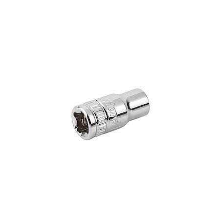 Diehard 1/4 Drive External Star Socket E8 DHP55264 - Cheap Fitting