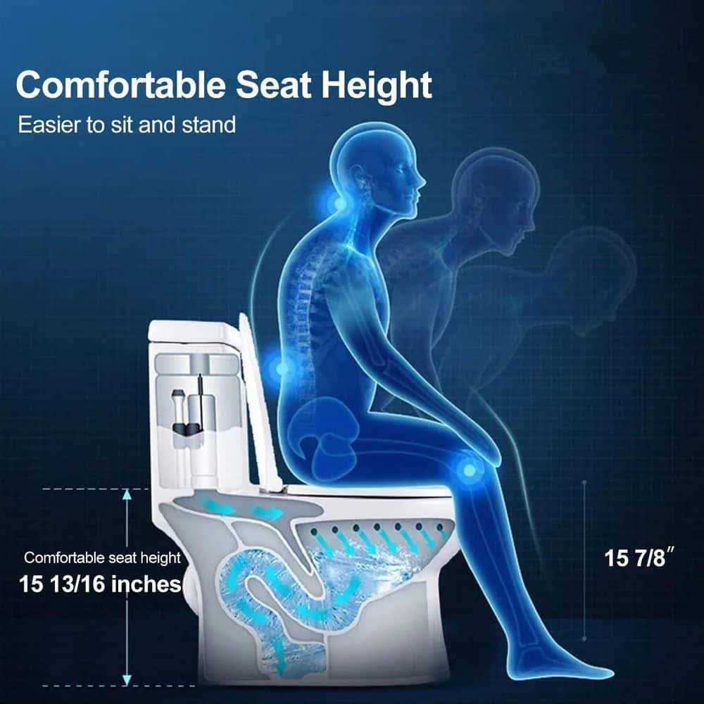 HOROW 1-piece 0.8/1.28 GPF Dual Flush Elongated Toilet T-0080 - Cheap Fitting