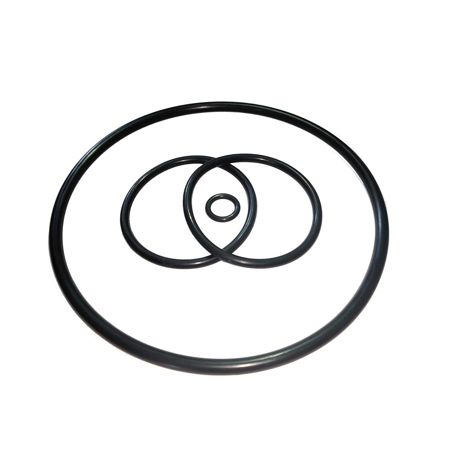 Shaft Seal & O-ring Rebuild Kit Replacement For XP2 Series Pool Pump - Cheap Fitting