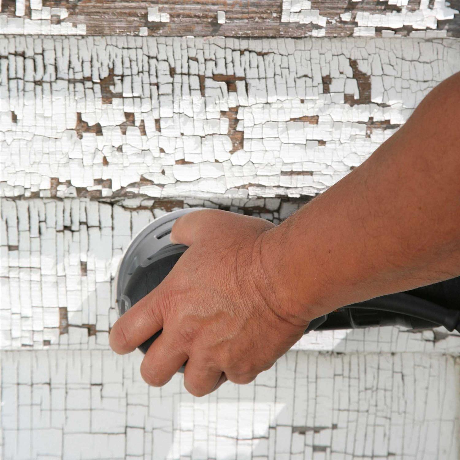 Gator Sanding Disc - Cheap Fitting