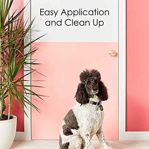 Krylon COLORmaxx Paint K05626007 - Cheap Fitting