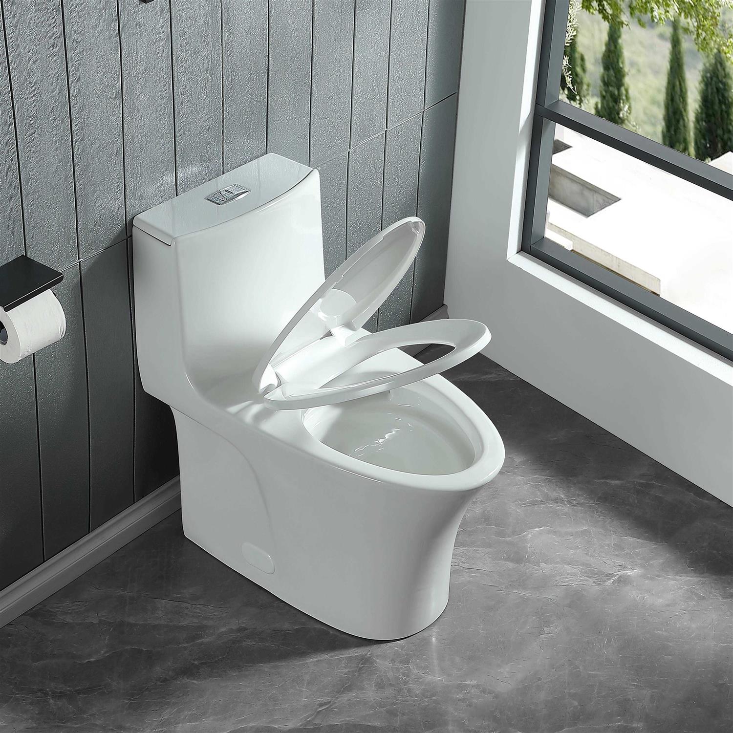 ABRUZZO One-Piece Toilet 1.1 GPF/1.6 GPF Dual Flush Elongated Toilet with Soft Closing Seat - Cheap Fitting