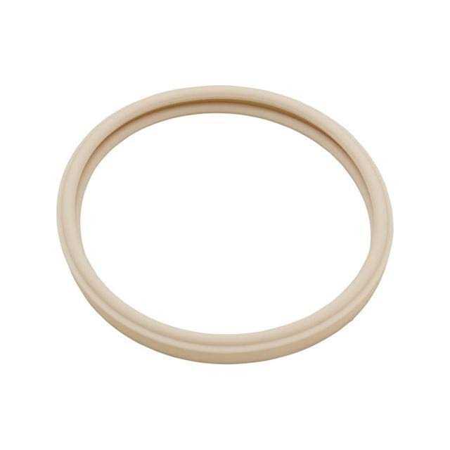 Pentair Light Lens Gasket 79101600Z - Cheap Fitting