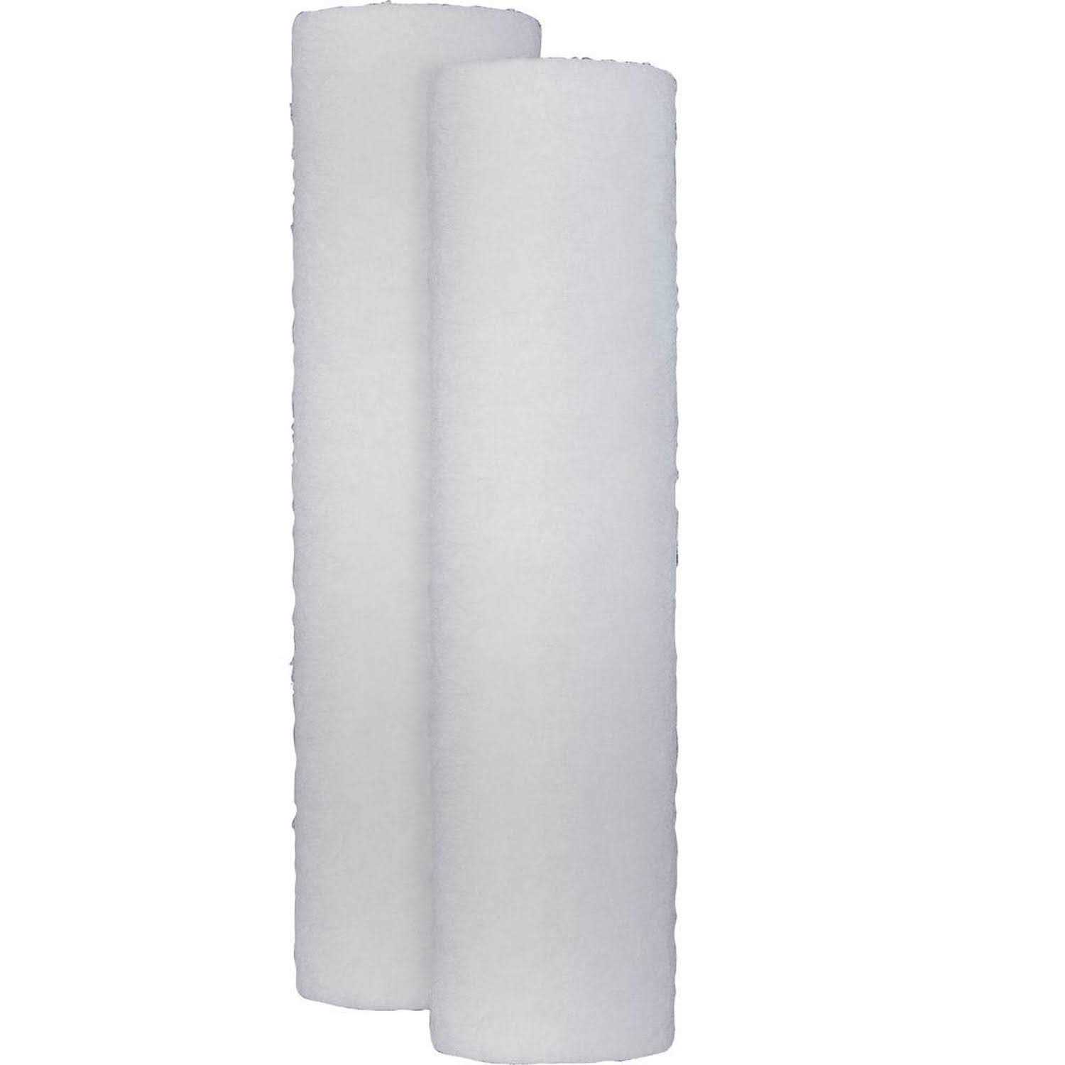 GE Dual Stage Drinking Water Replacement Filter FXSVC - Cheap Fitting