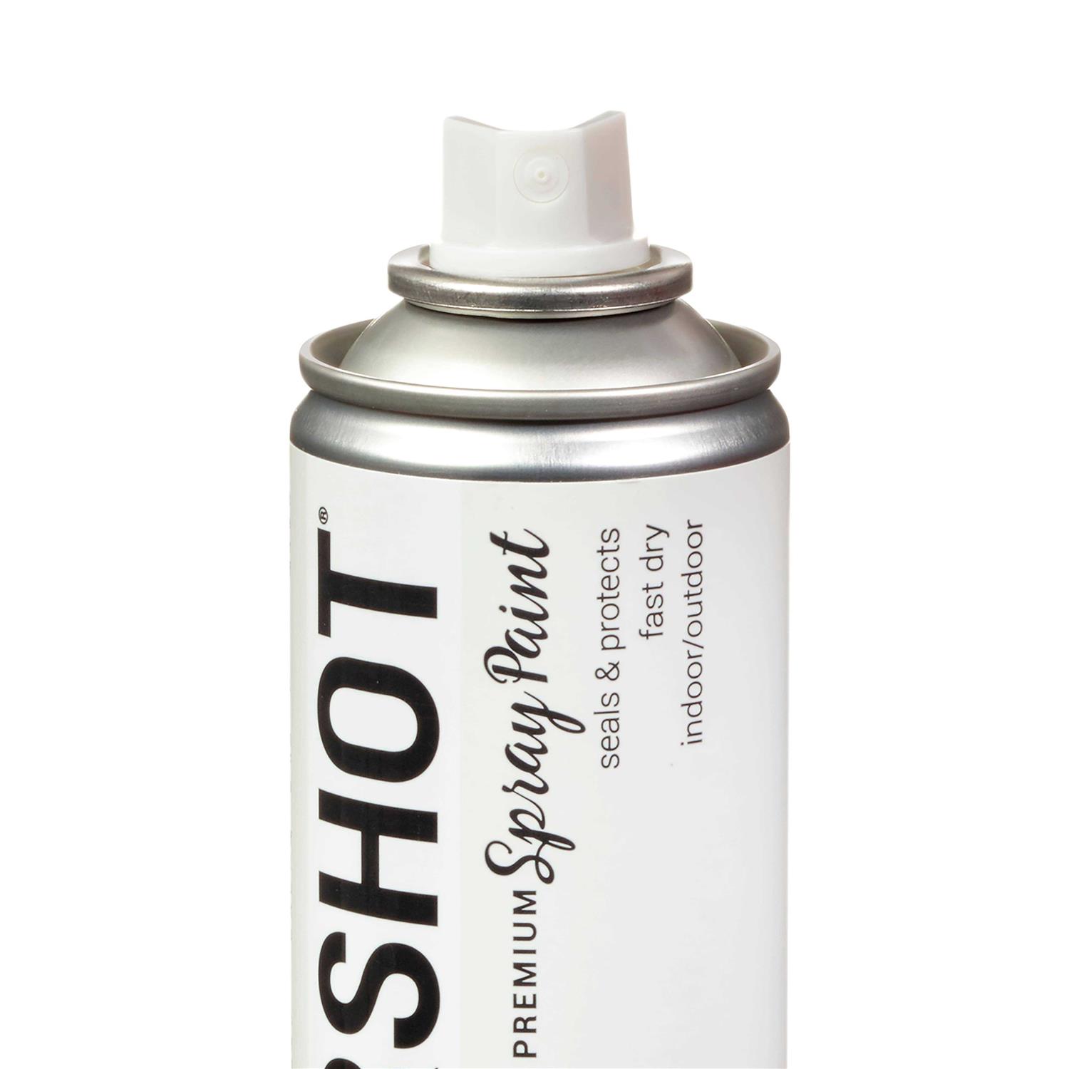 COLORSHOT Premium Spray Paint - Cheap Fitting
