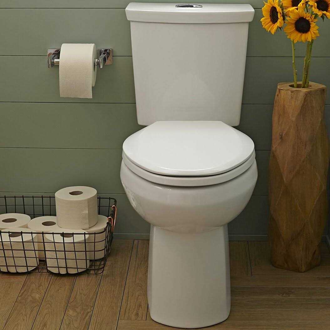 American Standard H2Option Dual Flush Round Two-Piece Toilet - Cheap Fitting