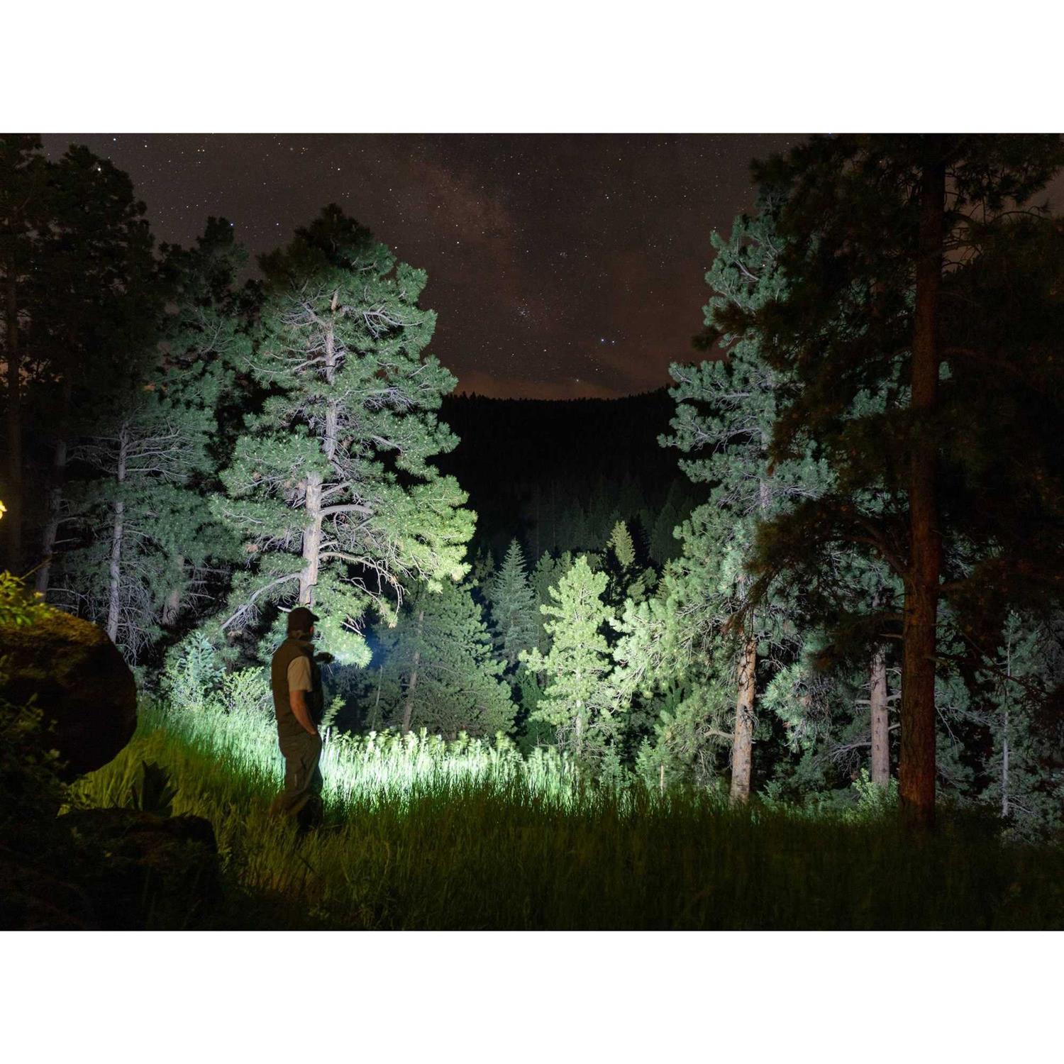 Fenix PD36R Rechargeable Flashlight - Cheap Fitting