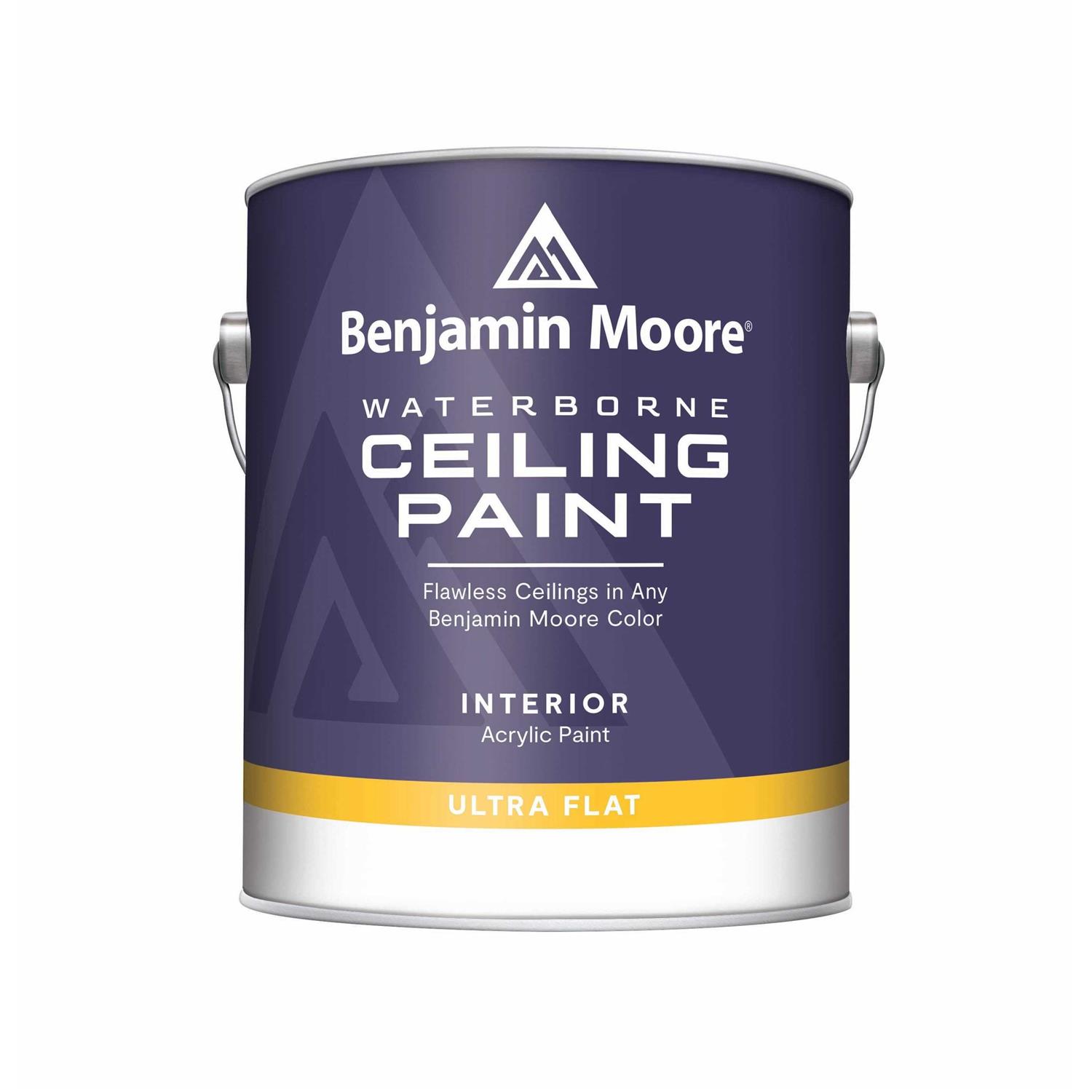 Benjamin Moore Waterborne Ceiling Paint - Cheap Fitting