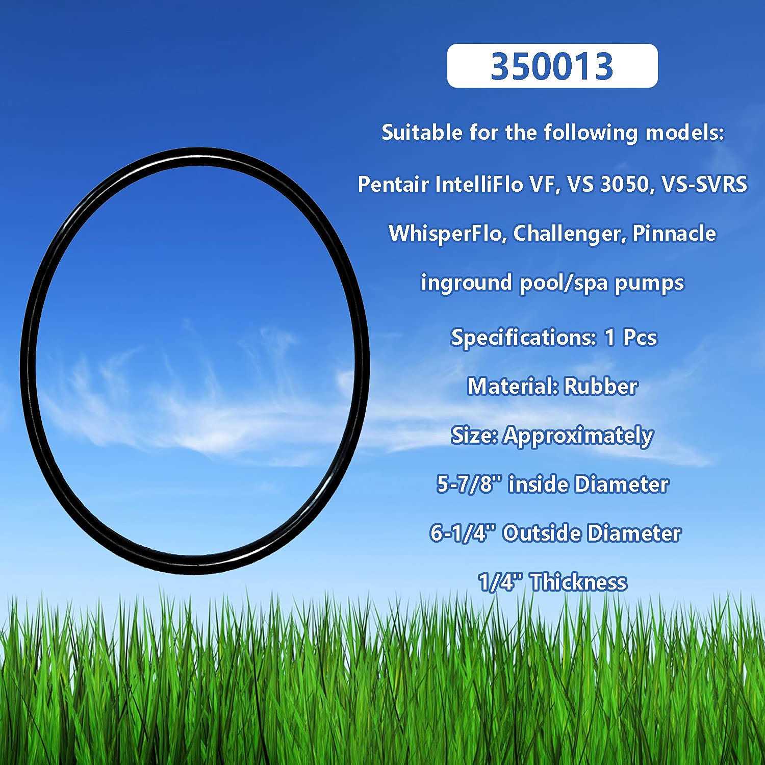 350013 O-Ring For WhisperFlo and IntelliFlo Pump Trap Lid - Cheap Fitting