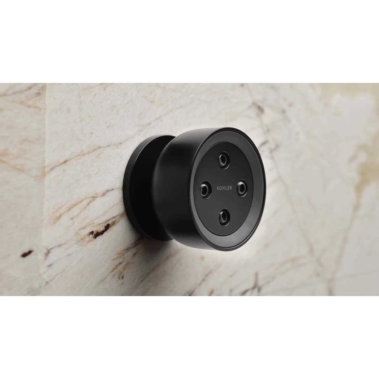 KOHLER Statement Oblong GPM Handshower - Cheap Fitting