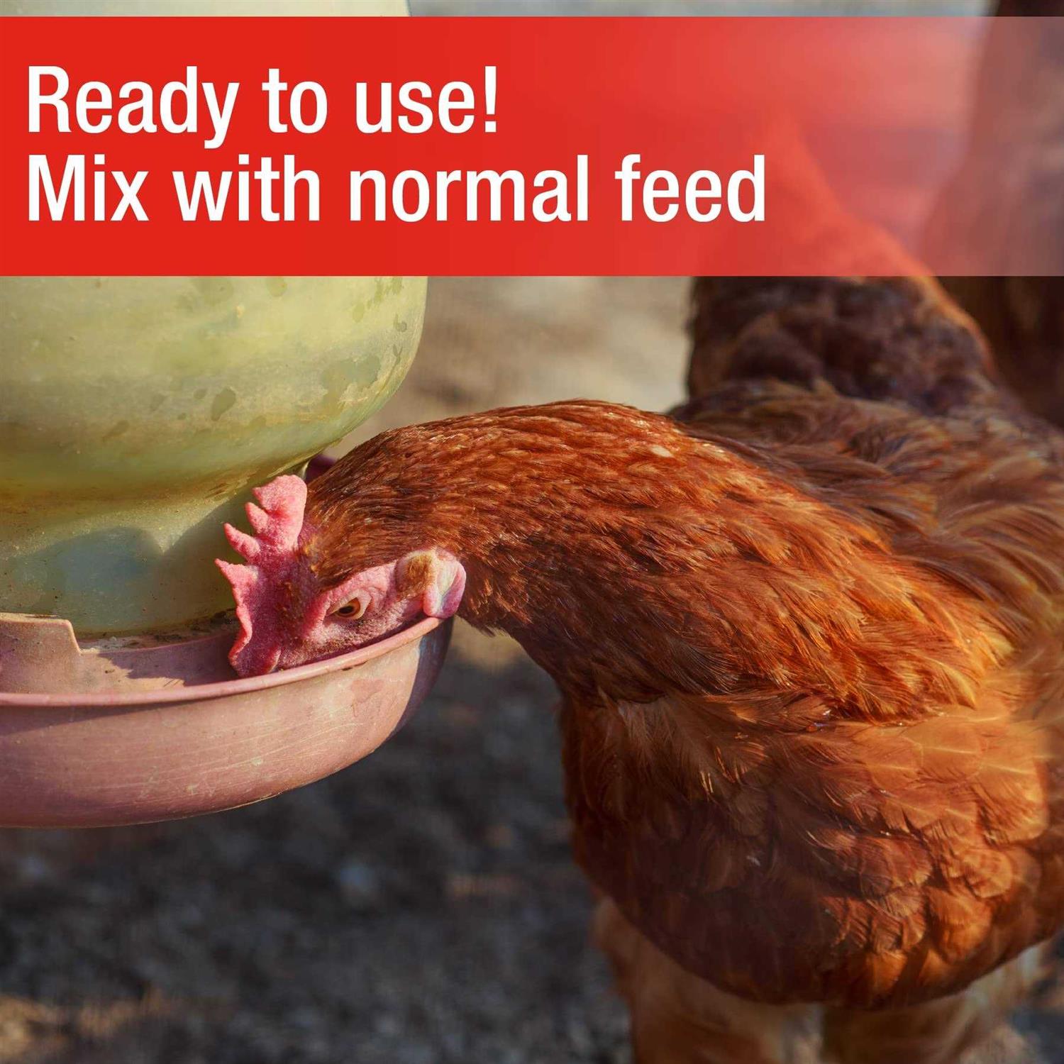 Cherry Stone Poultry Grit - Cheap Fitting