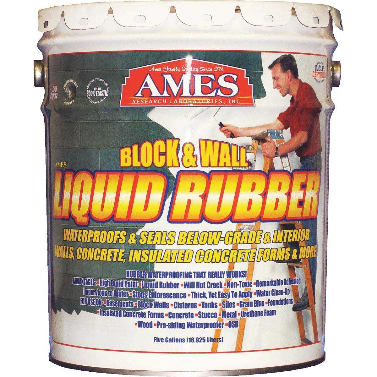 Ames Block & Wall Liquid Rubber Coating 5 Gallon - Cheap Fitting