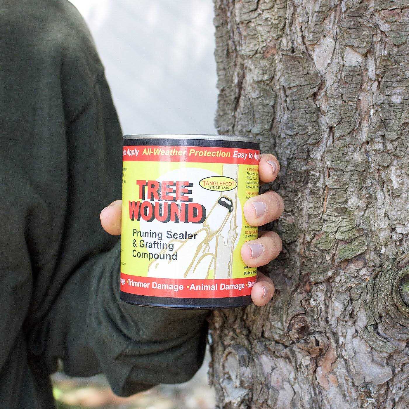 Tanglefoot Tree Wound Pruning Sealer & Grafting Compound - Cheap Fitting