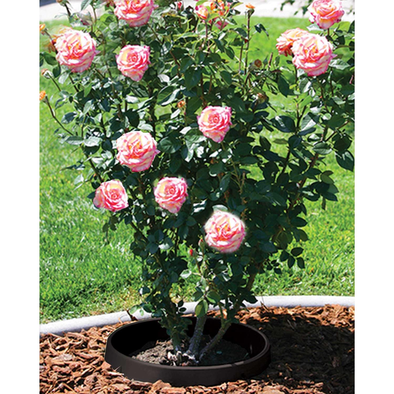 WaterRounds 6 pack of 24 in Planting Rings. Landscape Garden Protective - Cheap Fitting