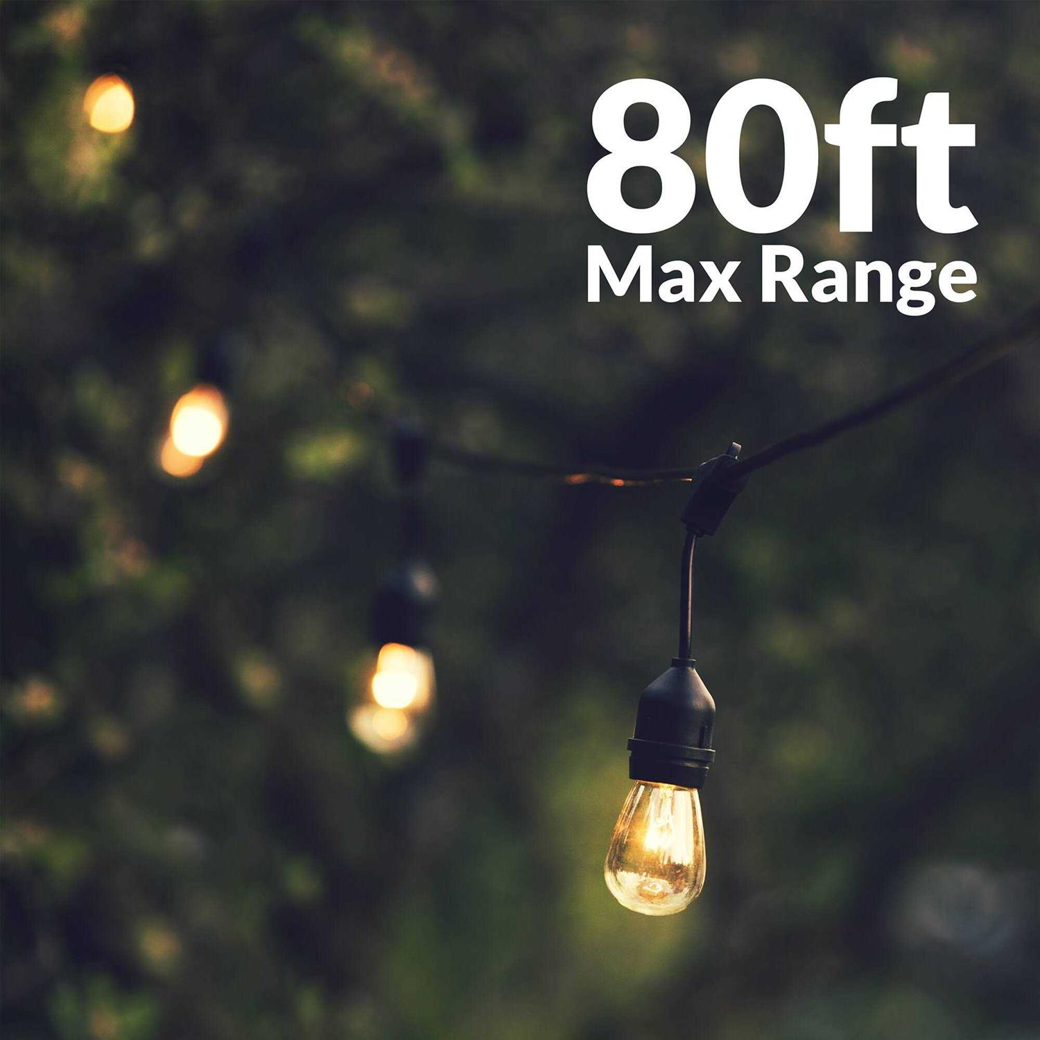 Newhouse Lighting Outdoor LED Dimmer for String Lights with Remote Control LEDDIM-265 - Cheap Fitting