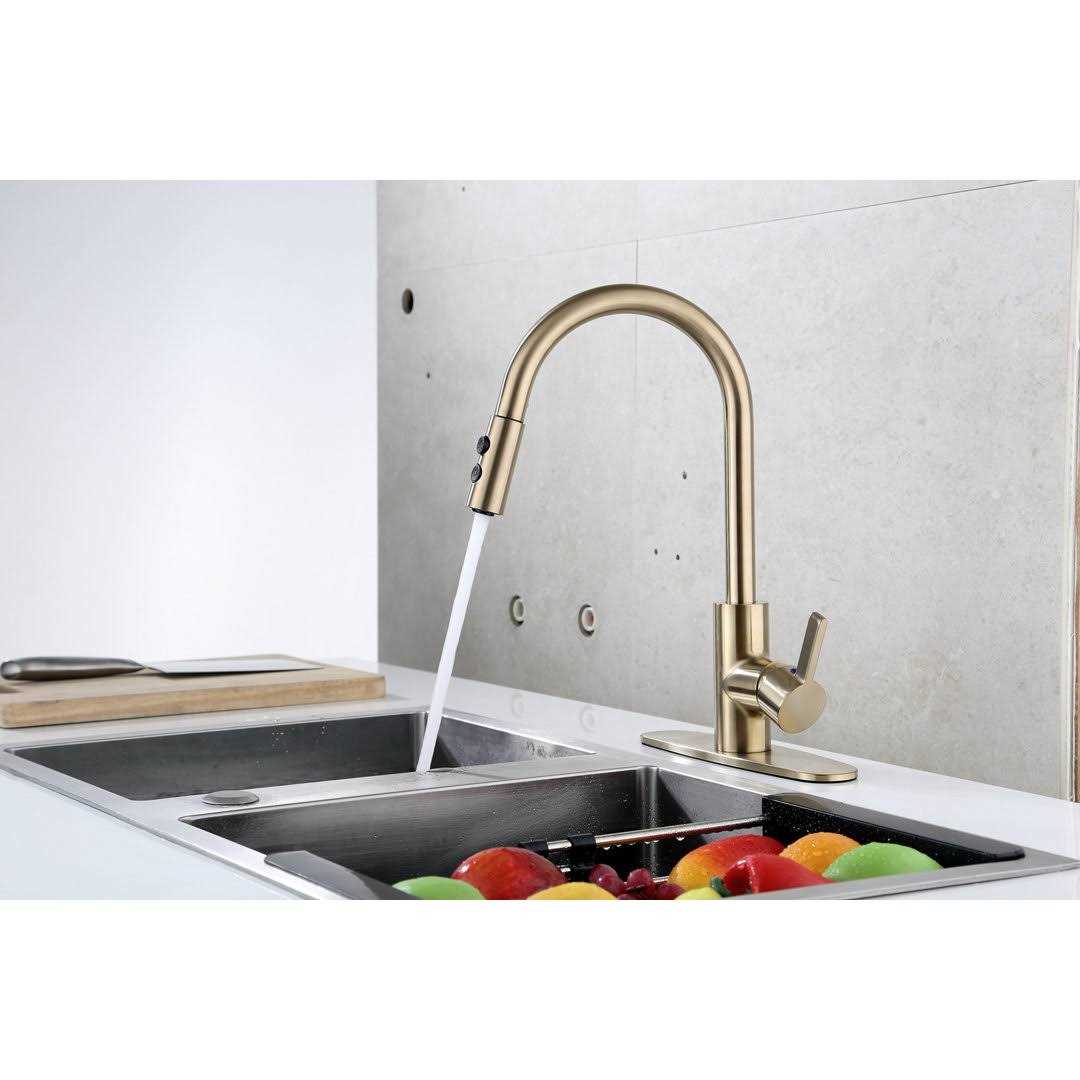 Runfine Single-Handle Pull-Down Sprayer Standard Kitchen Faucet with Spray Options RF426007 - Cheap Fitting