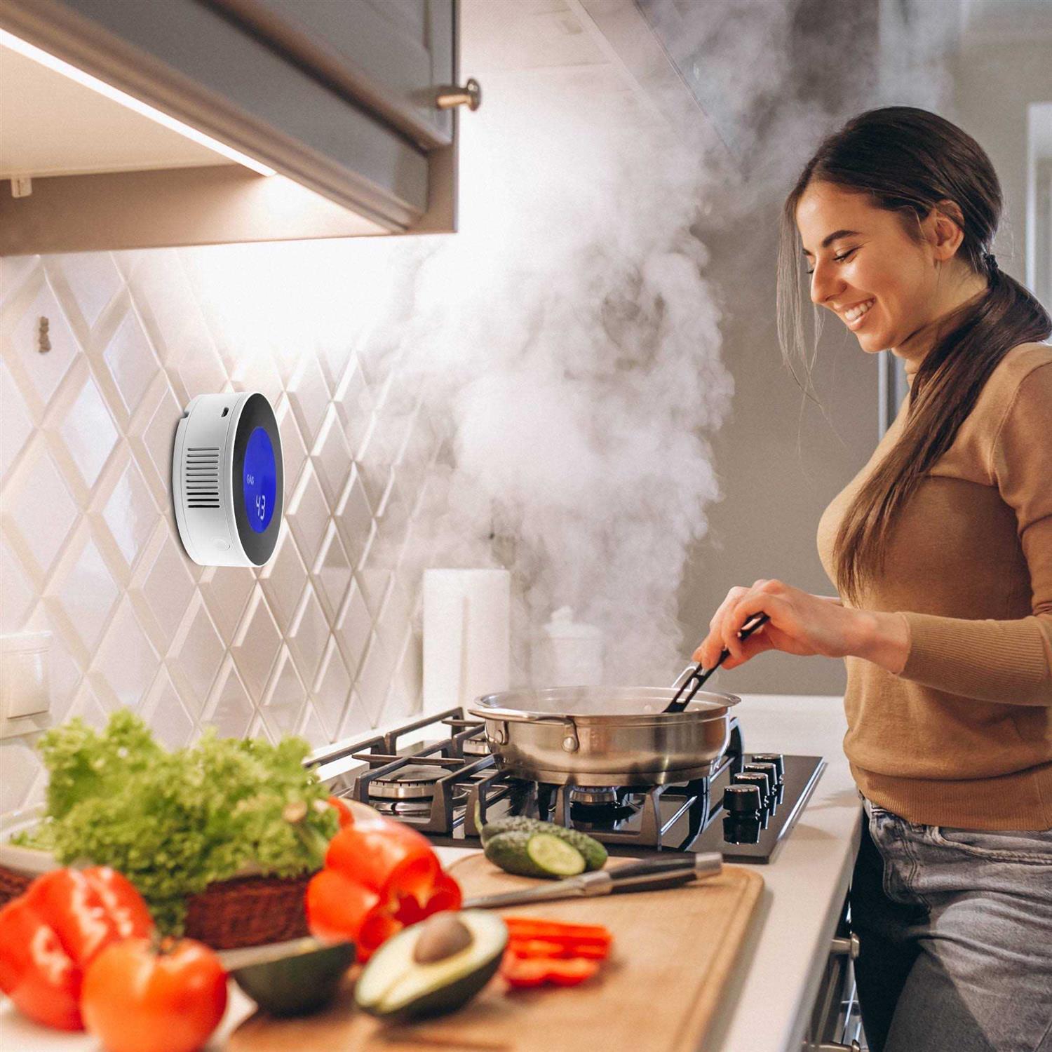 Gasknight 2.0 Natural Gas Detector & Propane Detector. Plug-In Gas Leak Alarm w LCD Display - Cheap Fitting