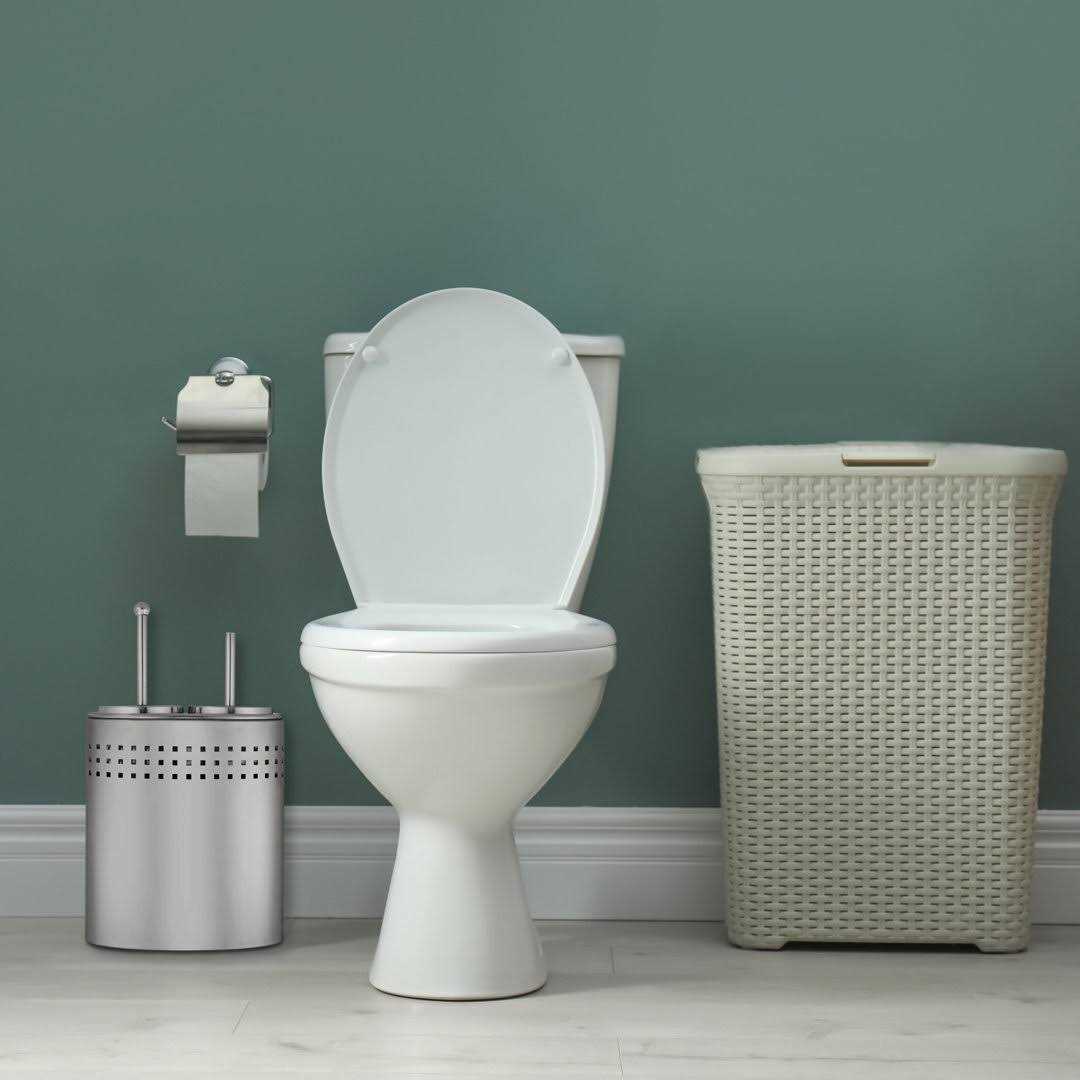 Blue Donuts Toilet Brush and Plunger Combo Set - Cheap Fitting