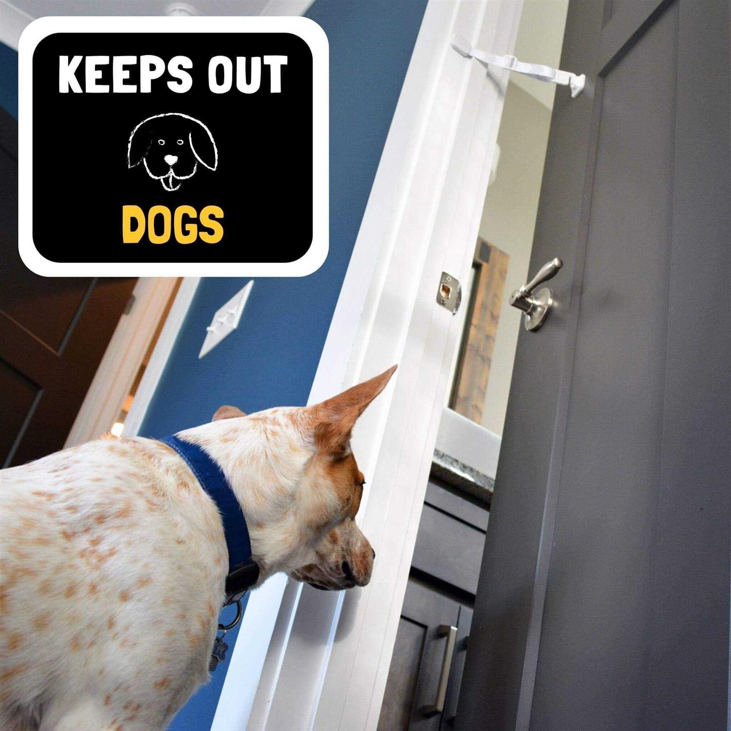 Door Buddy Door Latch Plus Door Stopper. Dog Proof Cat Litter Box and - Cheap Fitting
